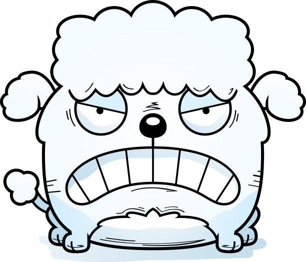 疯狂的小狮子狗图片下载