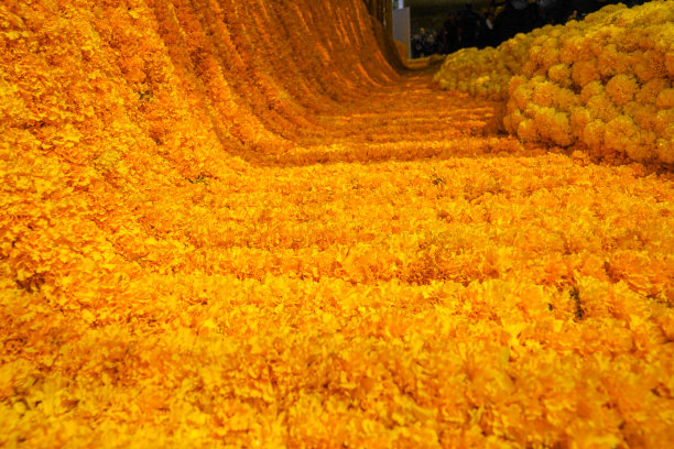 在泰国花卉市场，用万寿菊装饰花卉方向盘和流动装置，用于拍摄照片或作为背景。图片下载