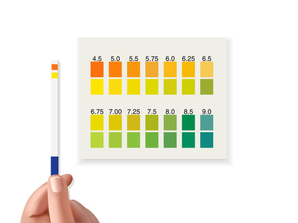 医生手里拿着尿检试纸。PH值测试图片下载
