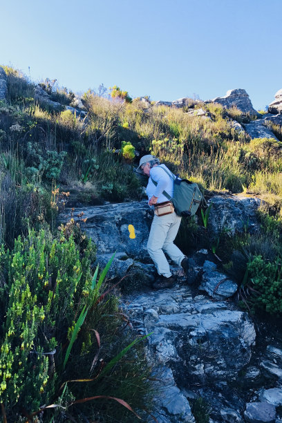 跟踪标记图片下载