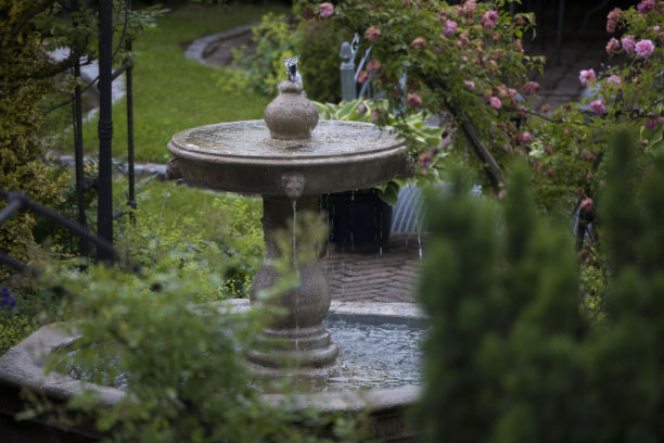 灌木丛中的惊喜喷泉图片下载