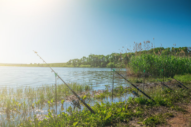 在阳光明媚的日子里，可以在湖或池塘钓鱼，钓竿或钓竿都可以插在支架上图片下载