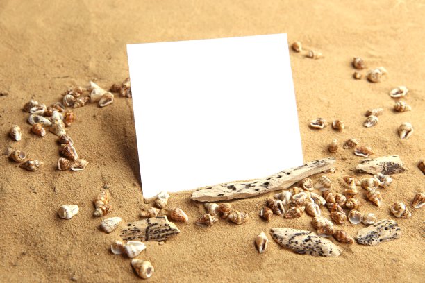 空白卡片上的沙滩上有小贝壳。图片下载