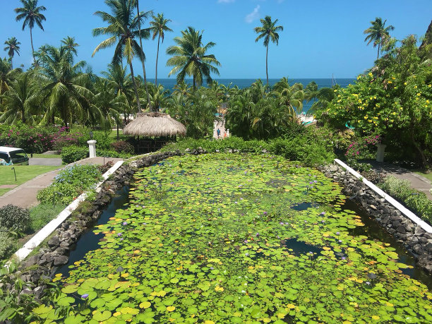 圣卢西亚岛图片下载