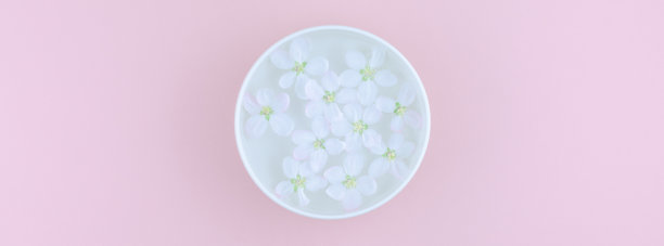 白花漂浮在水中图片下载