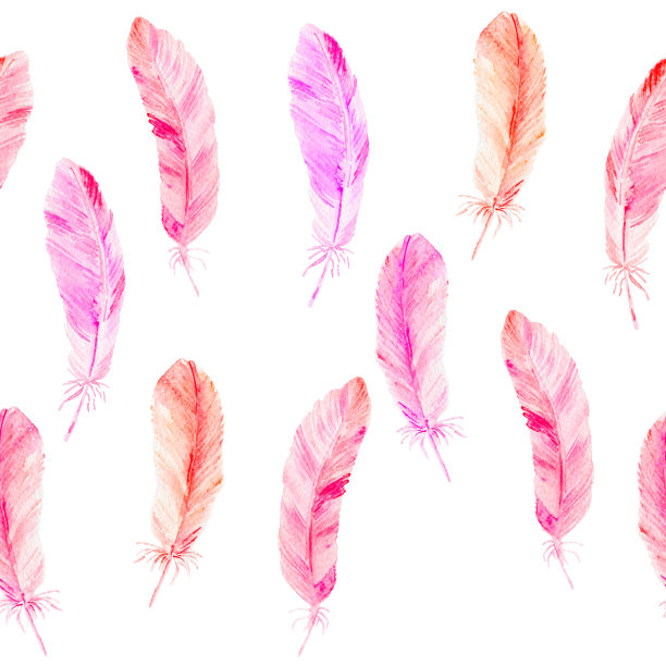 水彩羽毛的无缝图案。图片下载