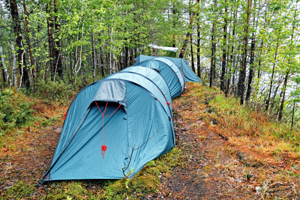 水库岸边的针叶林中有几个大帐篷图片下载