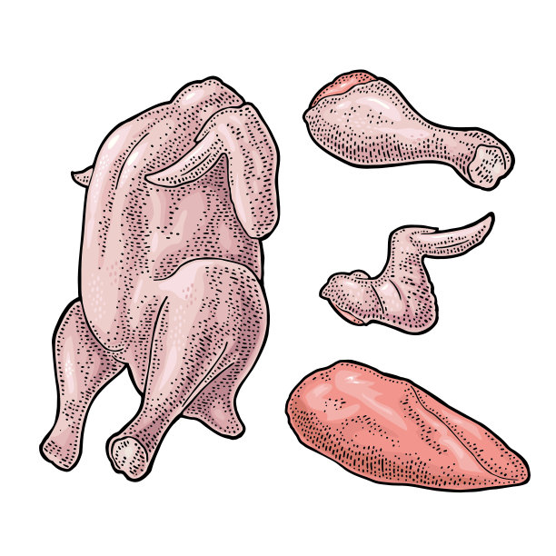 整个，腿，翅膀生鸡肉。复古黑色版画插画图片下载