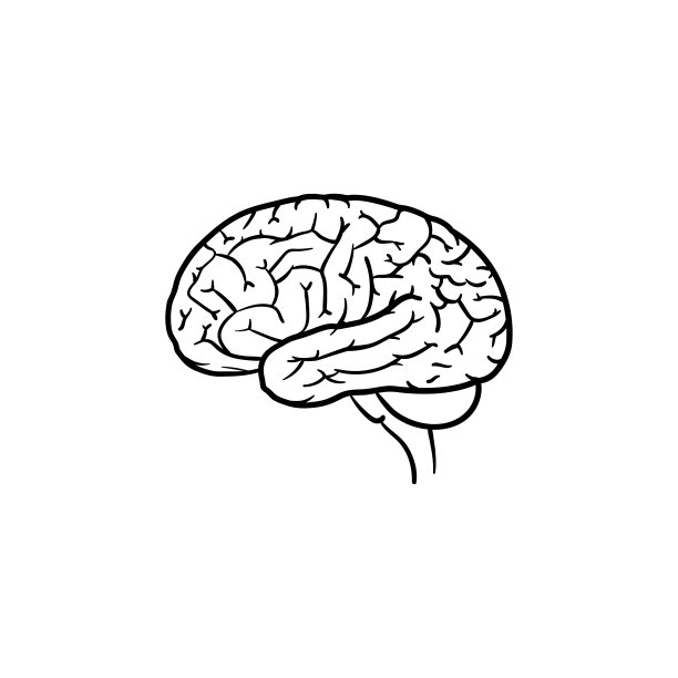 手绘人脑轮廓涂鸦图标图片下载