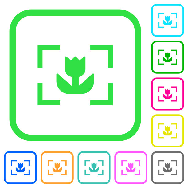 相机微距模式生动的彩色平面图标图片下载