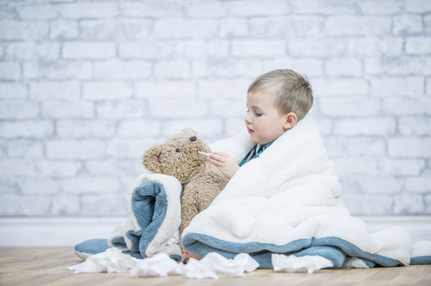 照顾泰迪图片下载