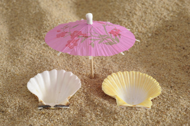 在海滩度假，带着两个贻贝和遮阳伞图片下载