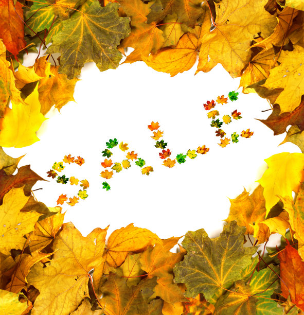 秋天的枯叶框架与字销售图片下载