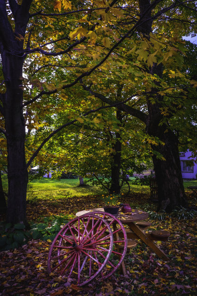 加拿大魁北克的苹果图片下载