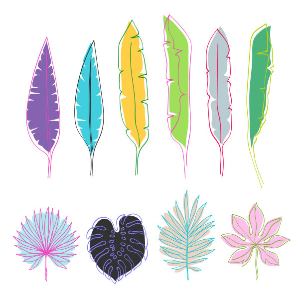 热带叶片矢量图图片下载