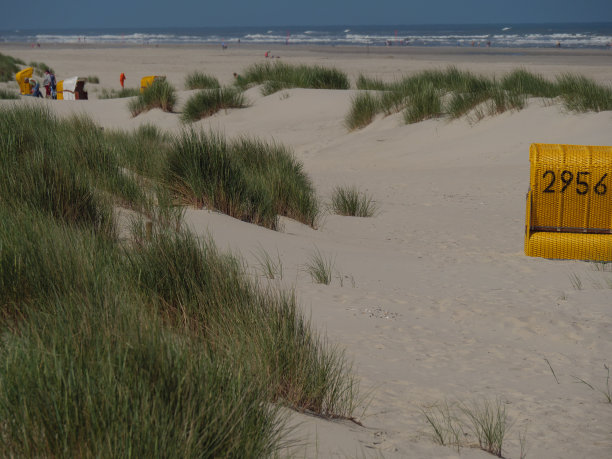 正义的海滩图片下载