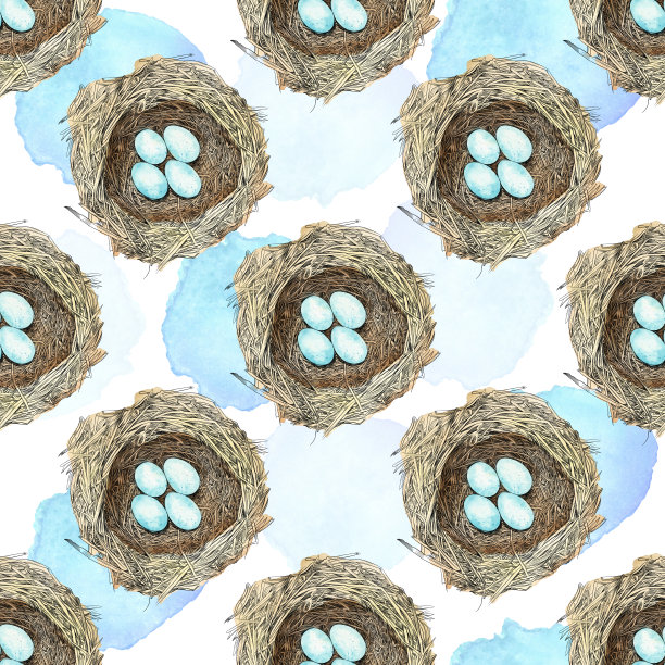 鸟窝与蛋钢笔和墨水矢量无缝模式图片下载