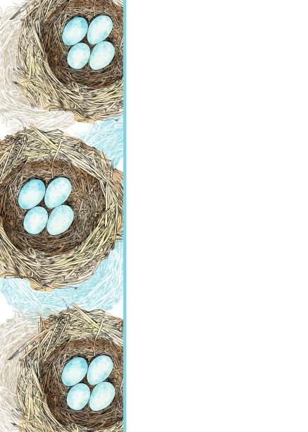 鸟巢矢量设计模板与复制空间图片下载