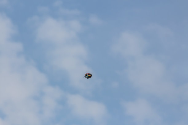 蓝色的天空中飘着蓬松的云朵，一个五颜六色的小球。图片下载