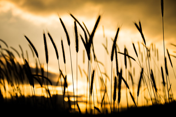 自然美图片下载