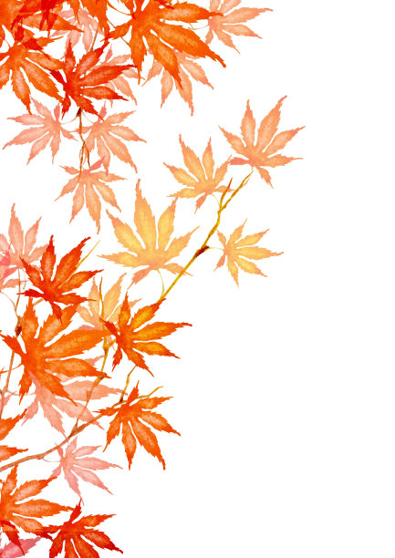 秋天的落叶图片下载