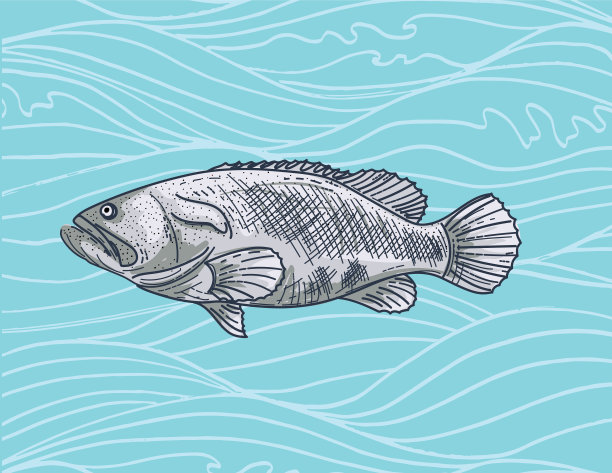 在波浪背景上手绘航海元素图片下载