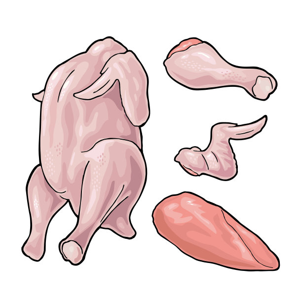 整个，腿，翅膀生鸡肉。矢量彩色插图图片下载