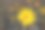 柔焦特写黄花图片下载