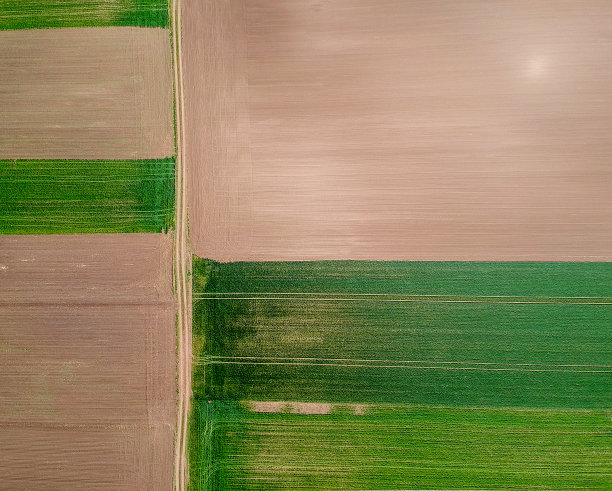农田鸟瞰图图片下载