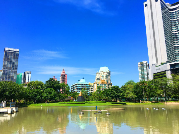 在清晨靠近游泳池天际线的建筑图片下载