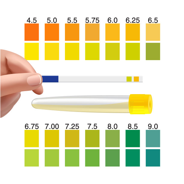 从试管里取出尿样。医生手上的尿液PH值测试试纸图片下载
