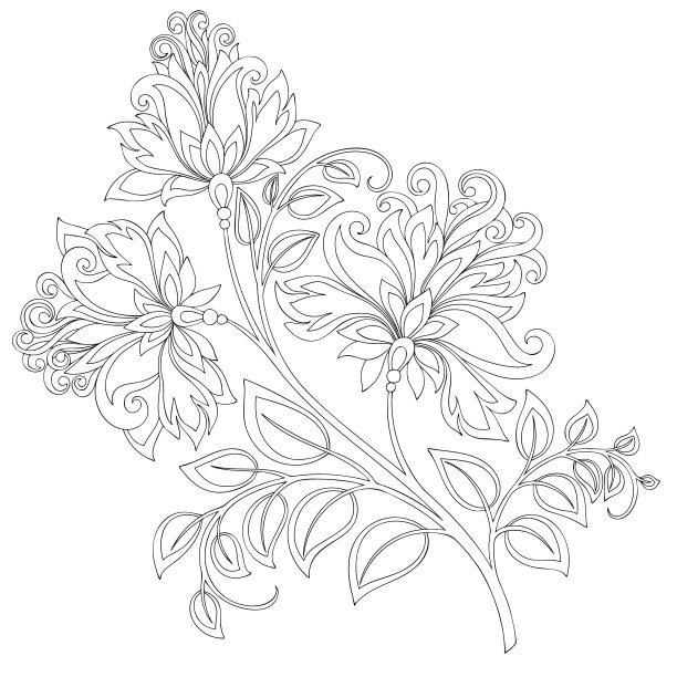 黑白花型轮廓图片下载