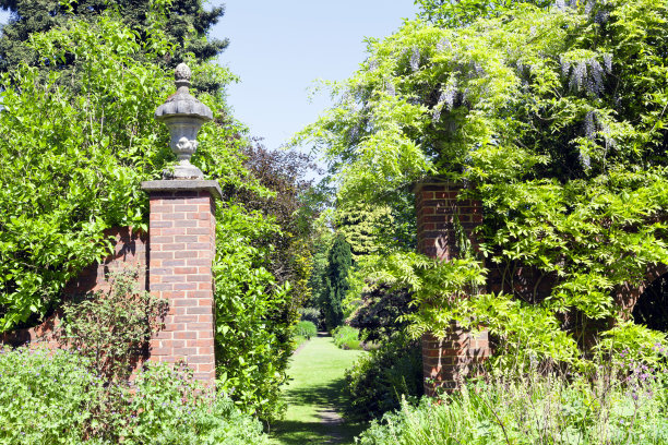 一个有围墙的花园的入口，有植物，灌木，树木，在一个阳光明媚的夏日在英国乡村。图片下载