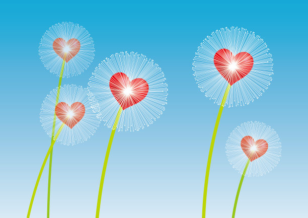 可爱的蒲公英图片下载