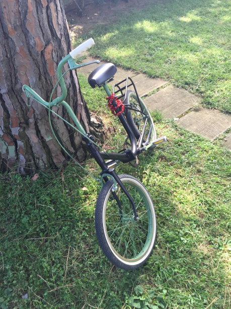 复古定制自制的黑色和绿色自行车倚在松树上图片下载