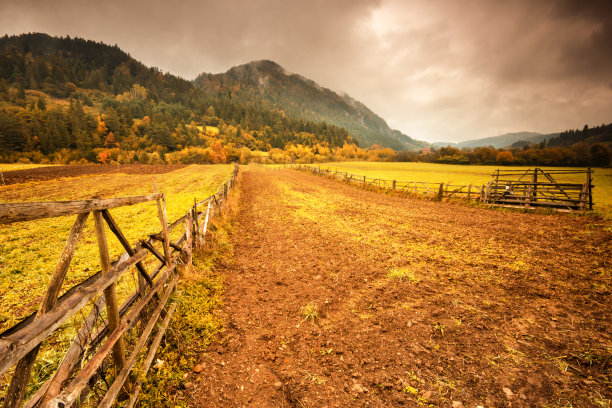 美丽的秋天的农田。图片下载
