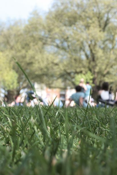 在夏天的一天，在公园里图片下载