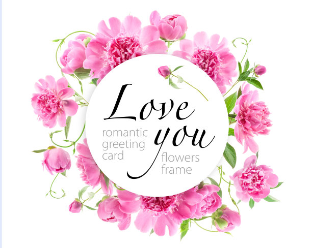 美丽的粉红色牡丹在白色的背景。前视图。浪漫的贺卡。本空间图片下载