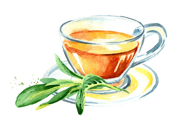 草药丹参。一杯药茶。鼠尾草叶冲剂。手绘水彩插图孤立的白色背景素材图片
