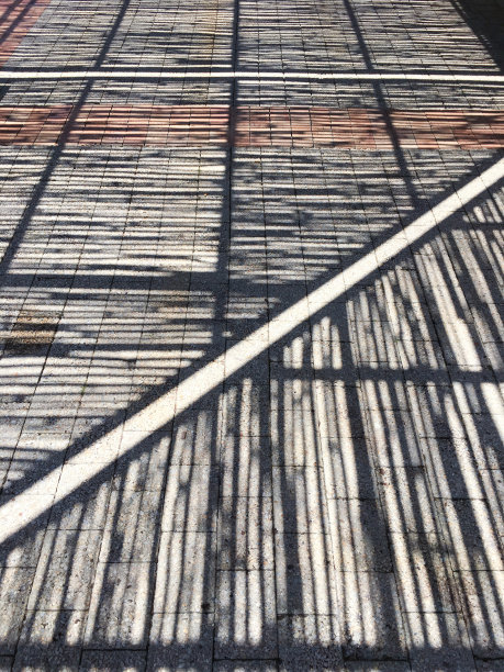 阴影在南非住宅中创造华丽的图案图片下载