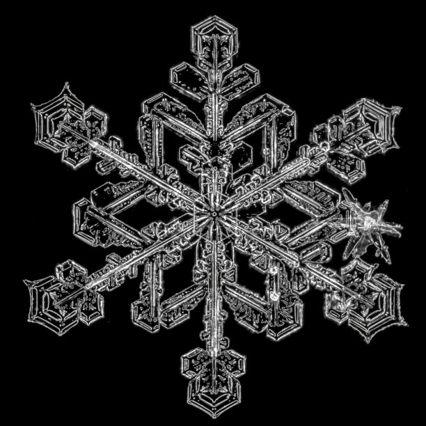 黑色背景上的雪花。真实雪晶的微距照片。图片下载