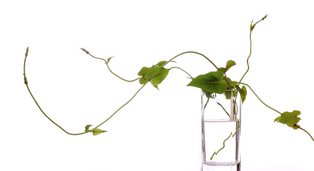 水资源图片下载