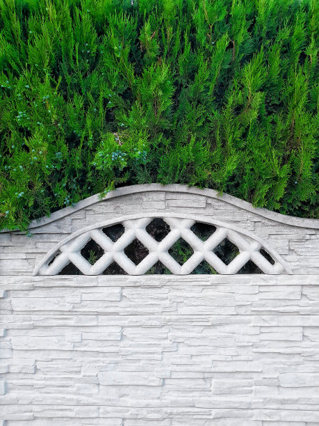 篱笆后面的绿色灌木丛图片下载