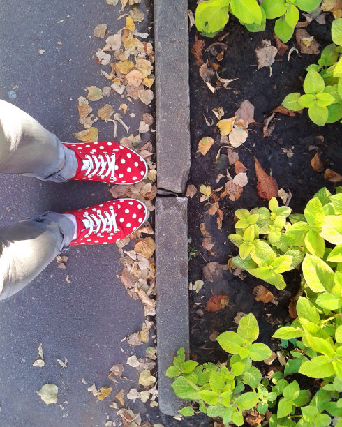 少女少女的红色旅游鞋与白色圆点图案的牛仔裤腿柏油路落叶秋天行走的照片图片下载