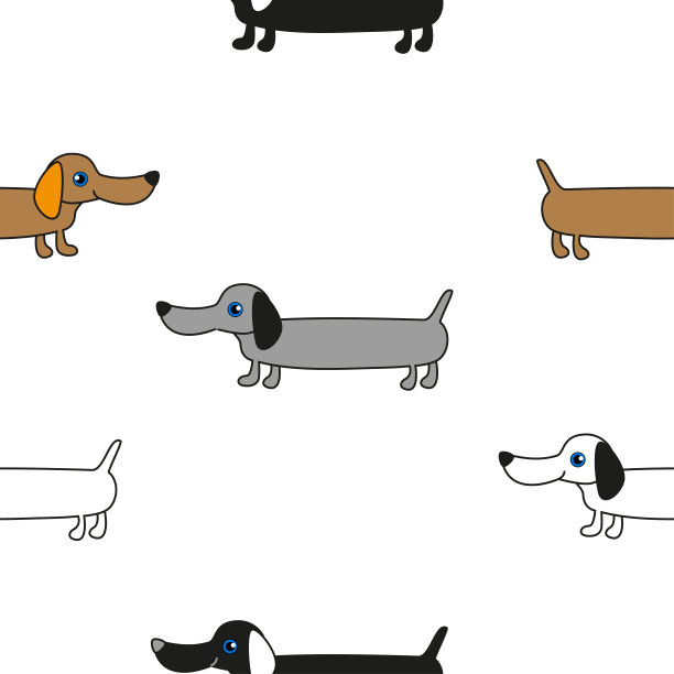 有趣的腊肠狗。图片下载