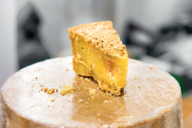 各种各样的奶酪图片下载