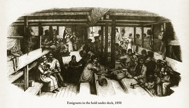 甲板下的移民前往美国，1850年雕刻图片下载