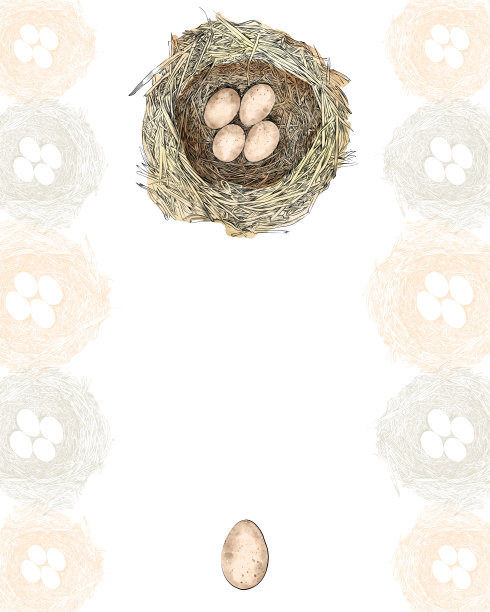 鸟巢矢量设计模板与复制空间图片下载