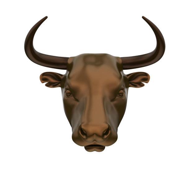 公牛头孤立图片下载