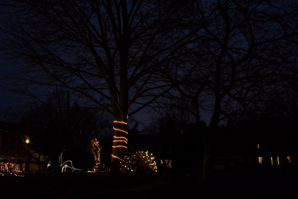 夜晚夜幕降临，屋外用圣诞树装饰挂起装饰性的彩灯，照亮前廊院子里黑色的背景，蓝天图片下载
